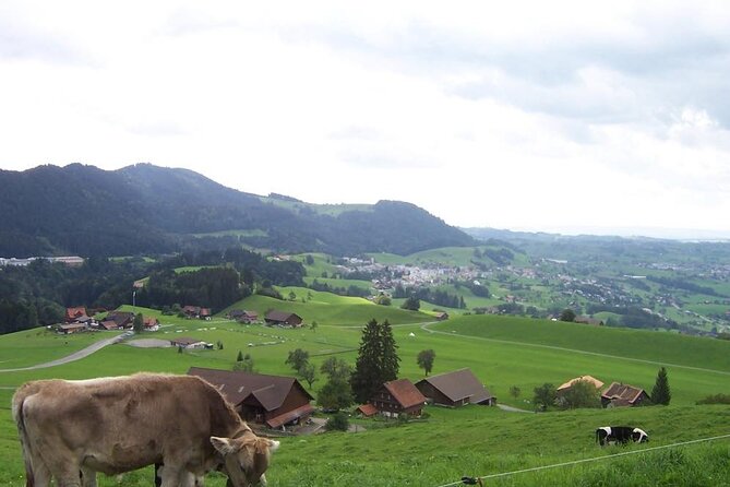 11-Day Private Lite Tour Across Switzerland by Bike from Geneve - Day 6: A second Solothurn night and Jura views