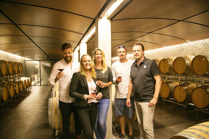 3 Hour Unique Wine Tour - Half Day in Swiss Alps - Rhine Valley views between wine stops