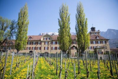 3 Hour Unique Wine Tour – Half Day in Swiss Alps