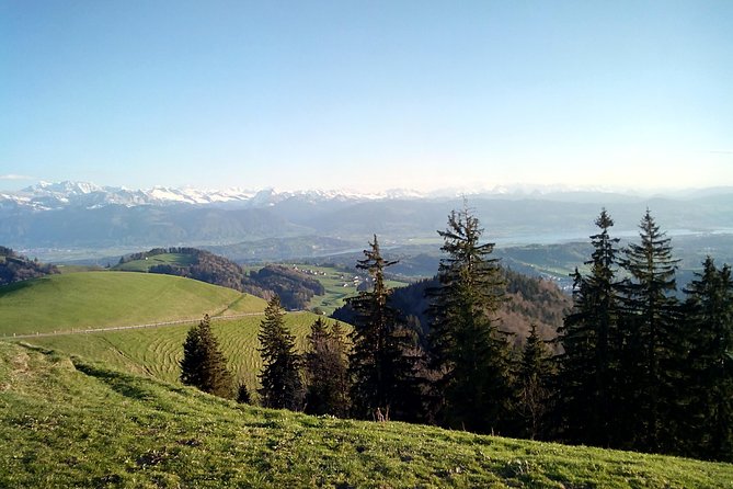 4-hour Quad Tour near Zurich - Key points to know before you book