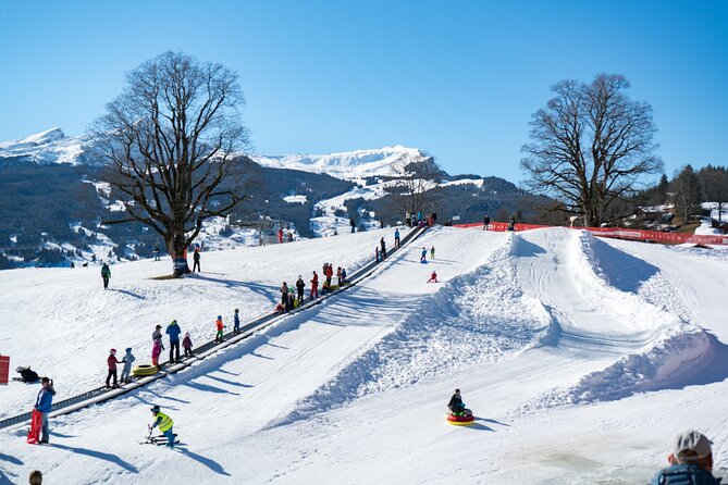 Afternoon Beginner Package Ski in Interlaken - Why Bodmi Arena works for a first ski lesson