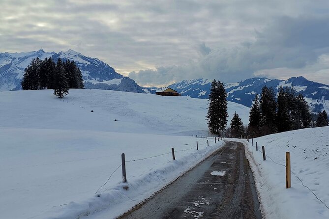 All Inclusive Rhine Falls and Appenzell Private Day Tour from Zurich - Is $1,397.62 per person fair?