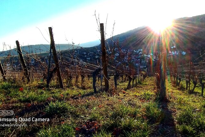 Alsace wine tour and medieval villages. Small group guided tour - Is $365.53 per person a fair price?