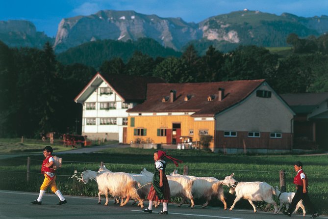 Appenzell Alps Day Trip from Zurich – Farm Life & Cheese Tasting - A working farm and a glass of fresh milk