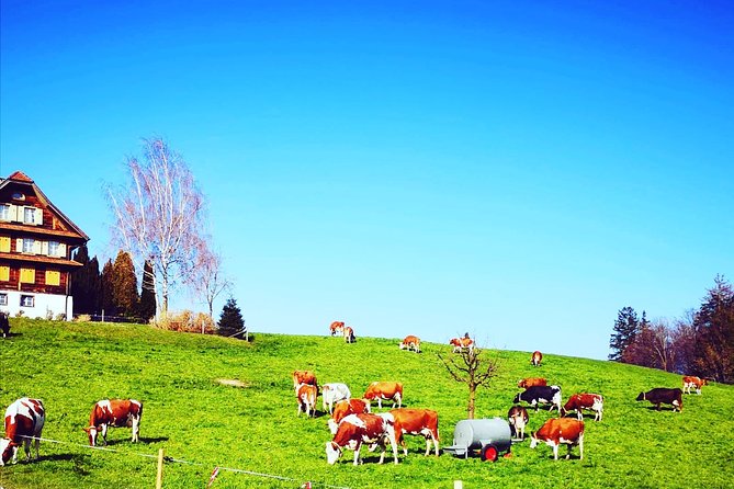 Appenzell and Liechtenstein Tour from Zurich - Appenzell, where the buildings do the talking