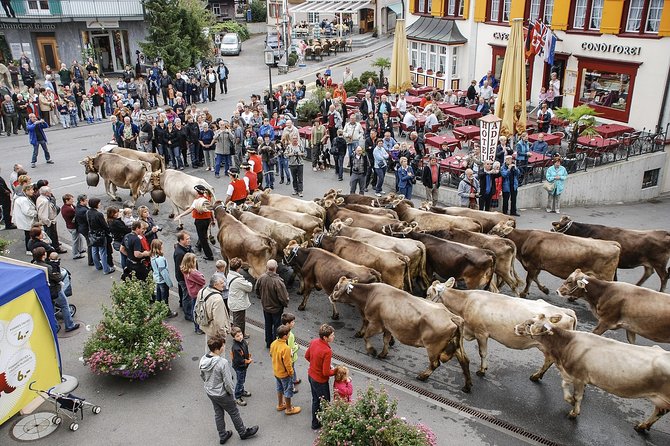 Appenzell and Liechtenstein Tour from Zurich - Crossing the Rhine into Vaduz