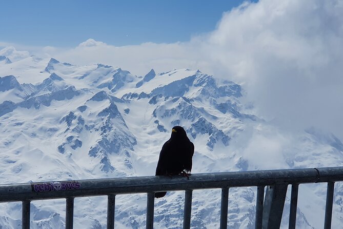 Attraction Ticket: Mt. Titlis by Train and Cableway from Lucerne - What the ticket includes, and what it does not