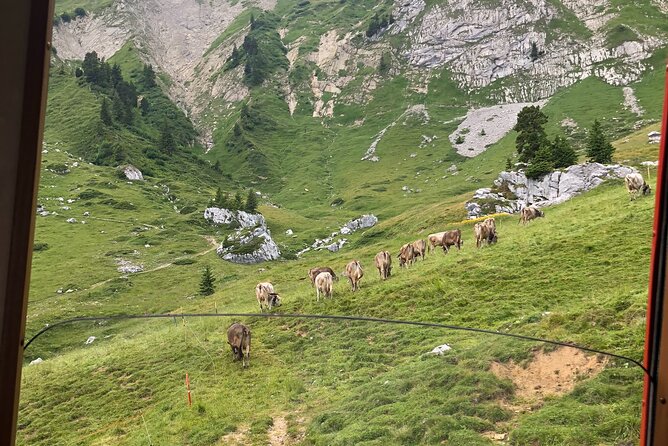 Basel Private tour - Mt. Pilatus and Cruise on Lake of Lucerne - Two hours above Lucerne at 2,073 meters