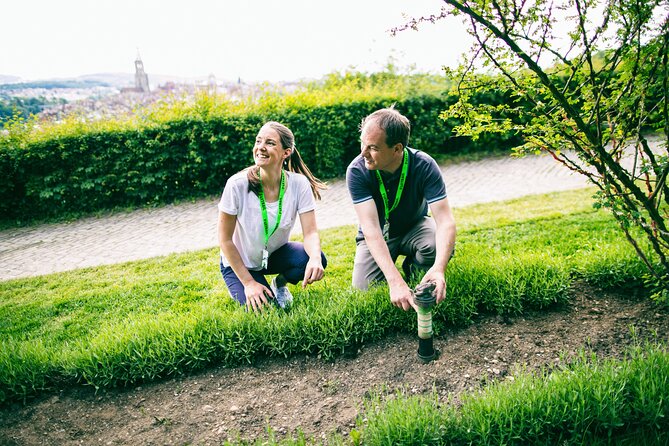 Bern Foxtrail slate - Key points about Bern’s Schiefer Foxtrail
