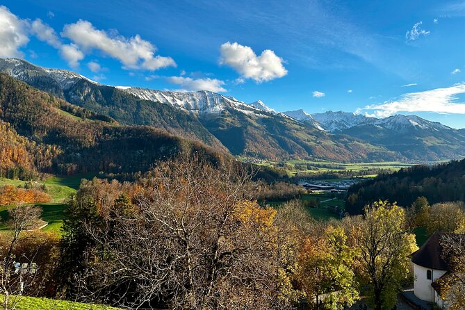 Bern Private Tour - Gruyères , Cheese, and Lavaux's UNESCO Wine - A full Swiss day, from milk to mountain vineyards