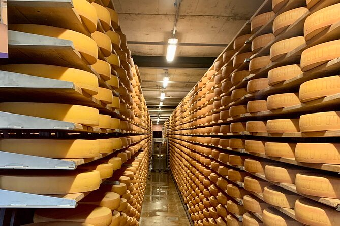 Bern Private Tour - Gruyères , Cheese, and Lavaux's UNESCO Wine - Guides, pace, and the private-tour advantage