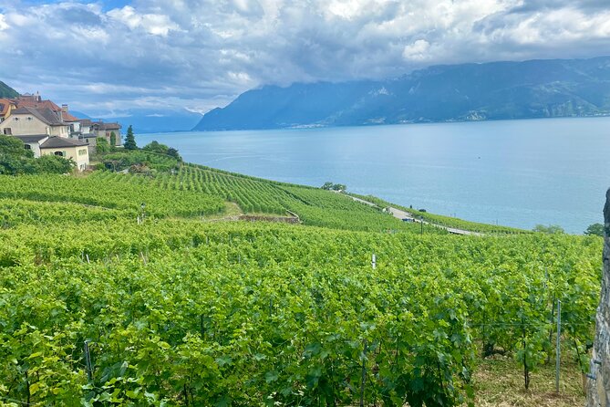 Bern Private Tour - Gruyères , Cheese, and Lavaux's UNESCO Wine - Gruyères Village, Château de Gruyères, and unusual art