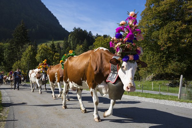 Berne the Capital and Cheese paradise Emmental (Private Tour) - Timing, Pickup, and the Shape of the Day