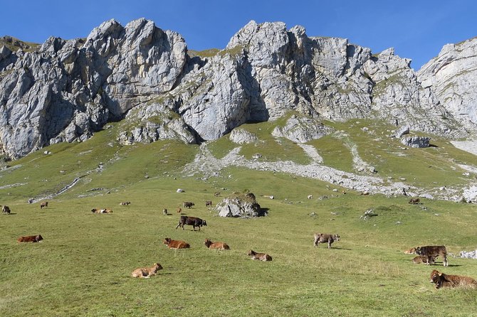Best of the Uri Alps: A fjord-like lake, glorious peaks and sustainable tourism - Why the Uri Alps make a fine day away from Lucerne