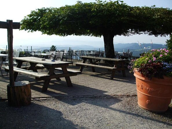 Best of Zurich Tour with Felsenegg Cable Car and Ferry Ride - Lake Zurich and the university quarter