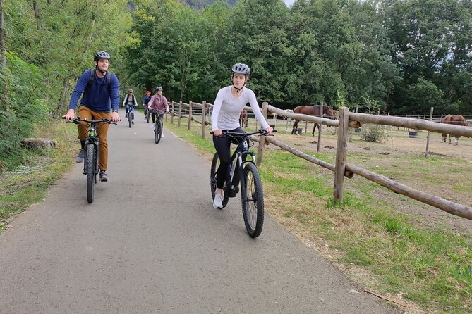 BikeBrix Scenic Cycling Tour in Lake Maggiore Ascona Locarno - A small group with room to ask questions