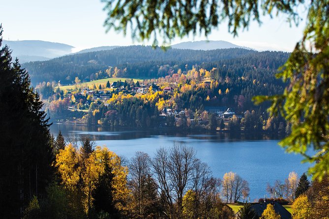 Black Forest and Rhine Falls Day Trip from Zurich - Lake Titisee, cake, and free time
