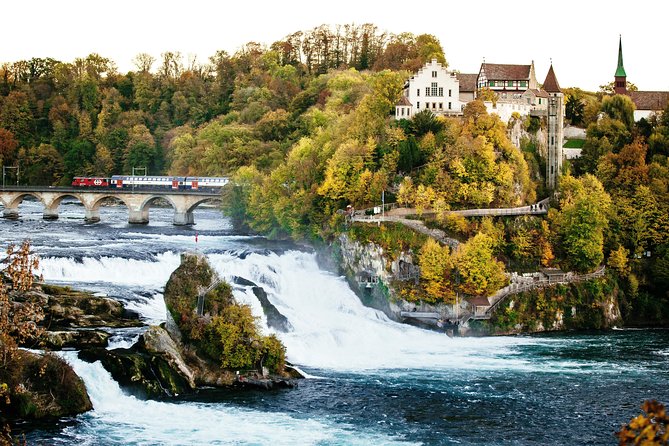 Black Forest and Rhine Falls Day Trip from Zurich - Rhine Falls: the strongest stop of the day