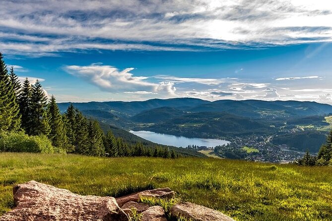 Black Forest and Rhine Falls Day Trip from Zurich - How the $103.95 price works for you