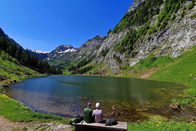 Breathtaking Private Hike with a Local Swiss Expert (1 day trip) - A private day beyond the usual Swiss postcard