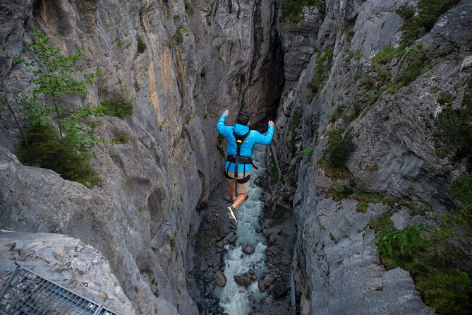 Canyon Swing with OUTDOOR - Is $185.55 a Fair Price?