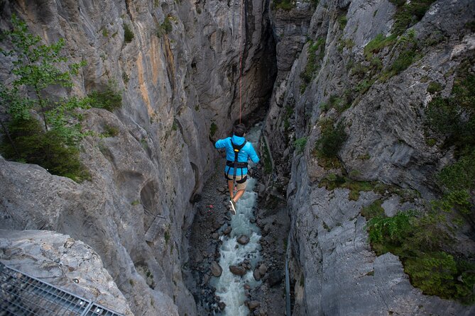 Canyon Swing with OUTDOOR - Who Will Enjoy This Most