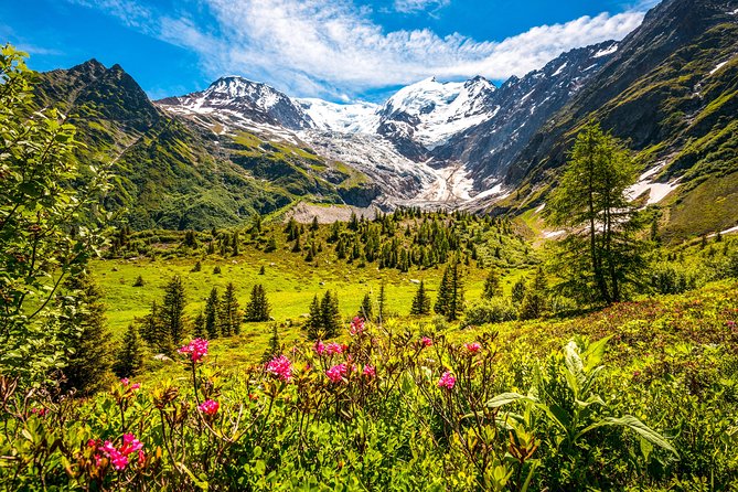 Chamonix and Mont Blanc Private Day Trip from Geneva - Why this Geneva to Chamonix trip works