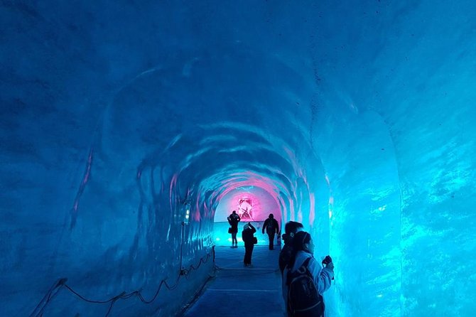 Chamonix and Mont Blanc Private Day Trip from Geneva - Who should book this day trip