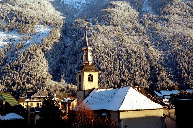 Chamonix Day Trip and Geneva City Tour - How much value do you get for $190.54?