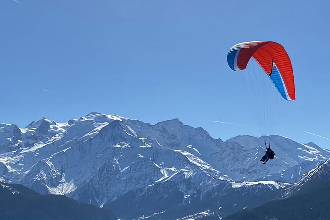 Chamonix Mont-Blanc Full Day Guided Tour - Who should book this Chamonix day trip?