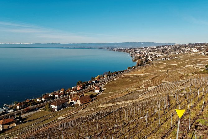 Cheese, Chocolate and Wine in the Bern Region from Luzern - Broc and Maison Cailler: Switzerland’s chocolate stop