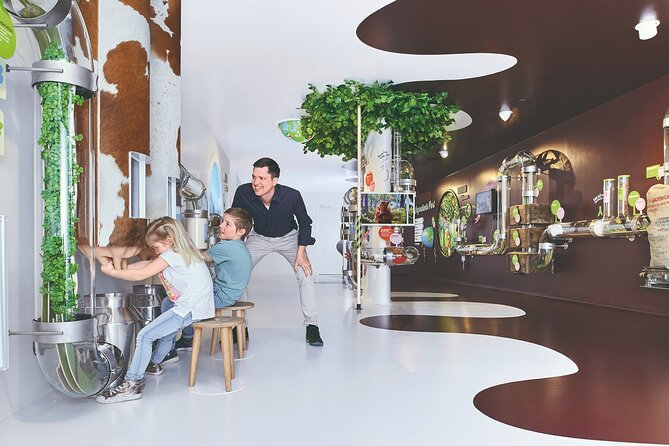Chocolate factory Individual experience tour - Key points to know before you book