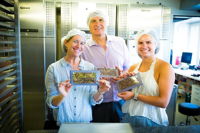 Chocolate Tasting with Lake Trip and City Tour: The Ultimate Lucerne Experience - Timing, meeting point, and cancellation