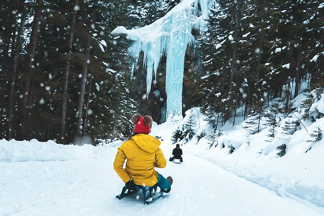 Day Sledding in Interlaken - Key points before you book