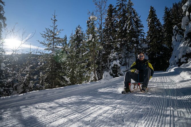 Day Sledding in Interlaken - From Wilderswil to the snow
