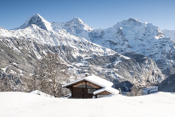 Day Sledding in Interlaken - One hour on the sled run