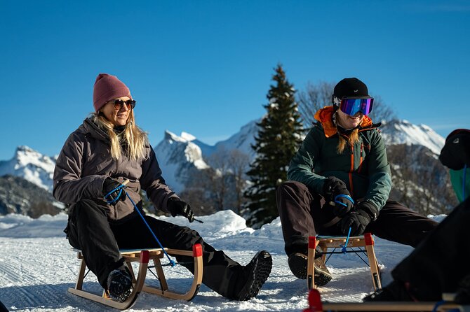 Day Sledding in Interlaken - The real skill is braking