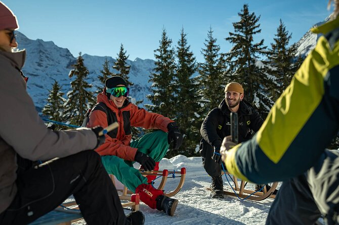 Day Sledding in Interlaken - Group size and guiding style