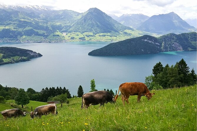 Day Trip to Lucerne and Mt. Rigi with a local from Zurich - Why this Zurich day trip works