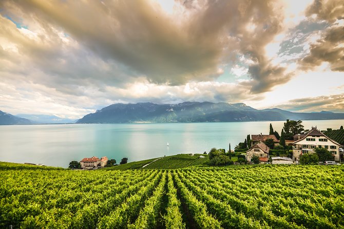 Day Trip to Montreux, Chaplin's World & Chillon Castle& apéritif - Chaplin’s World in Vevey