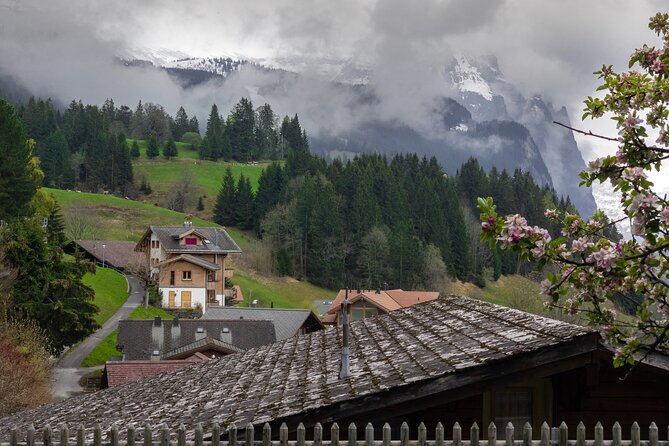 Daytrip to Swiss Villages: Interlaken Grindelwald & Lauterbrunnen - Who should book this Swiss Alps day trip?