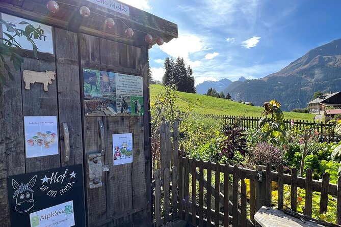 Easy countryside tour in Swiss Alps - kids friendly - Is $157.17 a fair price?