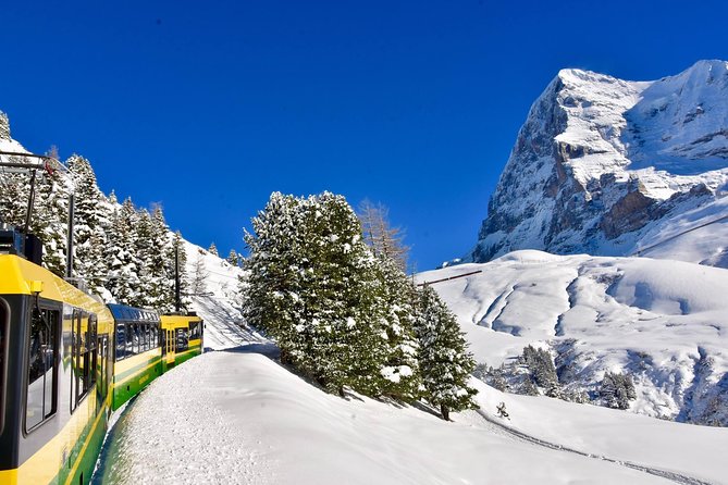 Eiger and Jungfrau Glacier Panorama Tour from Zurich - Grindelwald adds a village finish