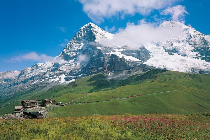 Eiger and Jungfrau Panorama Day Trip from Lucerne - A guide, a transport escort, or both?