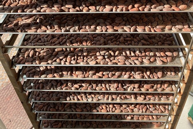Ethical Chocolate Tour - Vegan guests are included rather than added as an afterthought