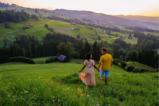 Experience Swiss Countryside on a Private Tour by Car from Zurich - Key points to know before booking