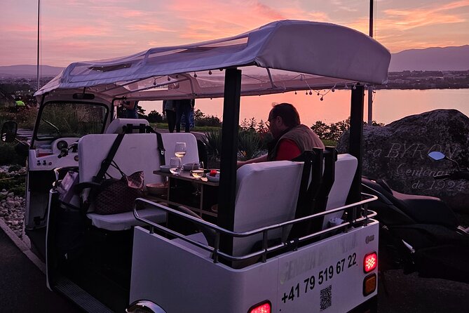 Fondue and wine private Tuk Tuk tour in Geneva - Cologny for the broad city view