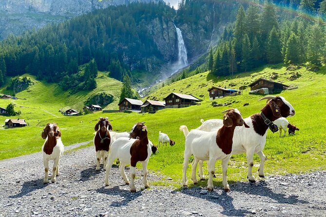 From Zurich: The most beautiful insider spots in Switzerland (private 1-day tour) - Brunnen and Morschach: the first big view