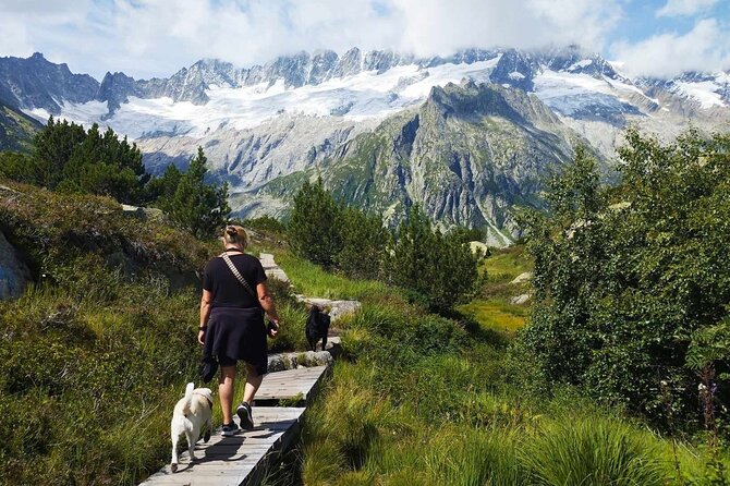 Full-Day Hiking Swiss Alps and Lake swim with Pick-up - What the full day from Lucerne feels like