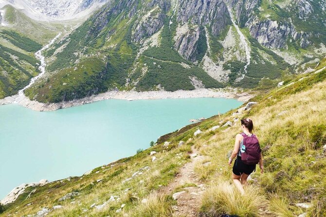Full-Day Hiking Swiss Alps and Lake swim with Pick-up - Who should book this Alpine day?